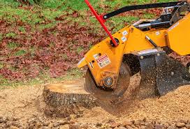 Best Lawn Drainage Solutions  in Fritz Creek, AK