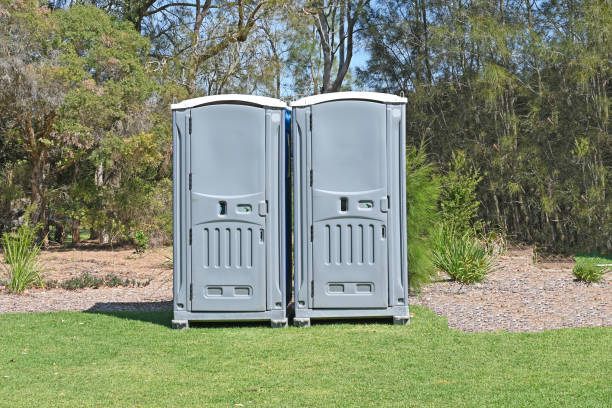 Best Lawn Pest Prevention  in Fritz Creek, AK